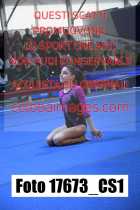 17673_CS1-
