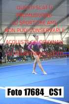 17684_CS1-