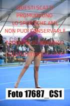 17687_CS1-