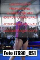 17690_CS1-
