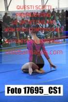 17695_CS1-