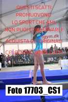 17703_CS1-
