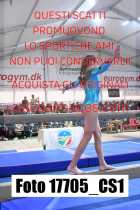 17705_CS1-