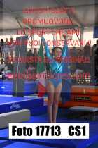 17713_CS1-