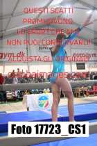 17723_CS1-