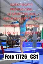 17726_CS1-