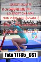 17735_CS1-