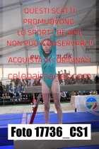 17736_CS1-