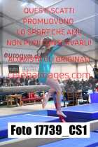 17739_CS1-