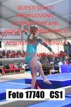17740_CS1-