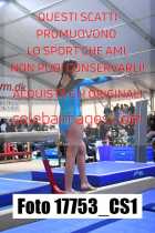 17753_CS1-