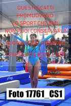 17761_CS1-