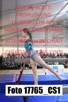 17765_CS1-