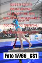 17766_CS1-