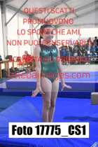 17775_CS1-