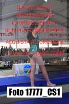 17777_CS1-