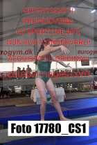 17780_CS1-
