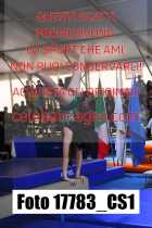 17783_CS1-