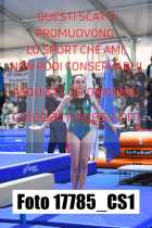 17785_CS1-