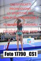 17790_CS1-