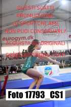 17793_CS1-