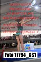 17794_CS1-