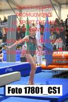 17801_CS1-