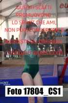 17804_CS1-