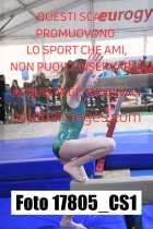 17805_CS1-