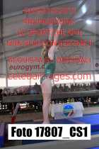17807_CS1-