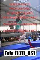 17811_CS1-