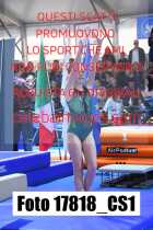 17818_CS1-