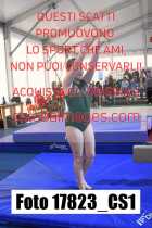 17823_CS1-
