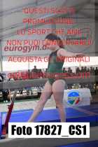 17827_CS1-