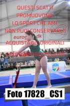 17828_CS1-