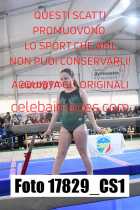 17829_CS1-