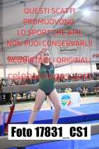 17831_CS1-