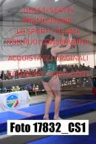 17832_CS1-