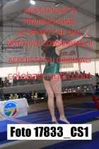 17833_CS1-