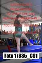 17835_CS1-