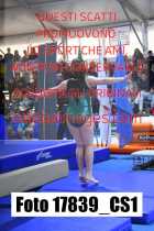 17839_CS1-