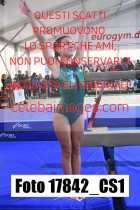 17842_CS1-