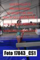 17843_CS1-