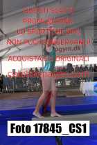 17845_CS1-