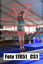 17851_CS1-
