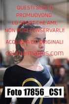 17856_CS1-