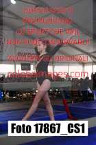 17867_CS1-