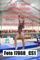 17868_CS1-