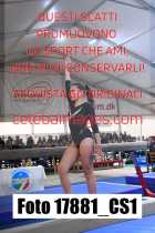 17881_CS1-