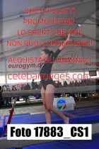 17883_CS1-